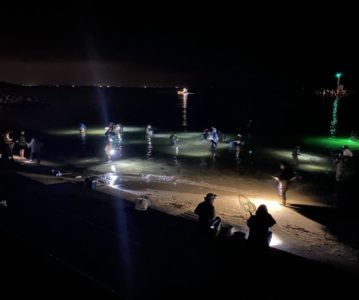 なんでホタルイカ…すぐきえてしまうん？